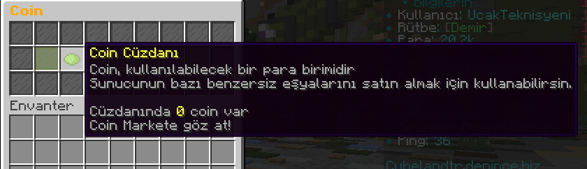 coin.PNG