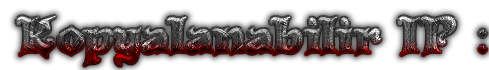 Cool Text - Kopyalanabilir IP 303919070133206.png