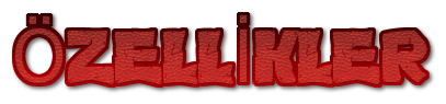 cooltext289832273528829.png