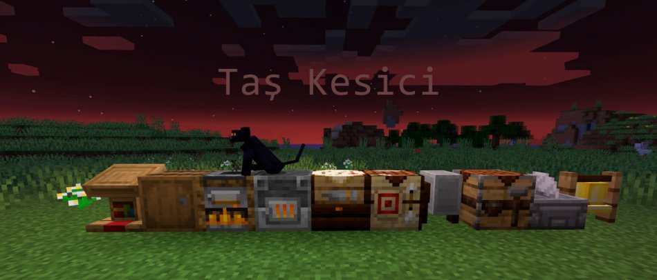 cscfwe22.jpg