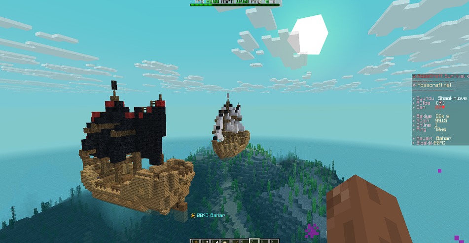 custom356353.PNG