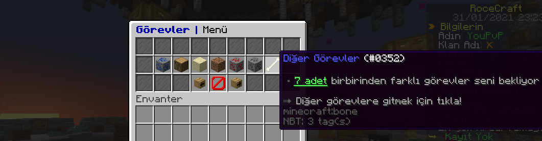 digergörevler.png