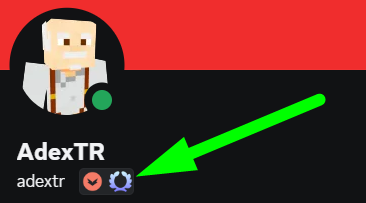 discord-rozet.png
