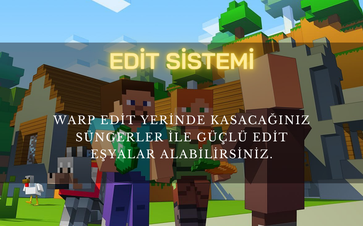 edit sistemi.png