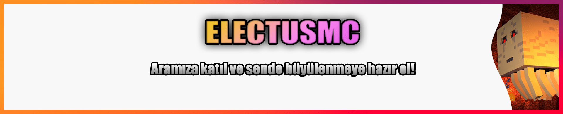 ElectusMC4-min.png