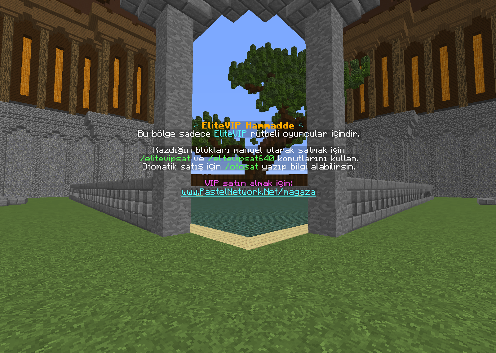 EliteVip.png