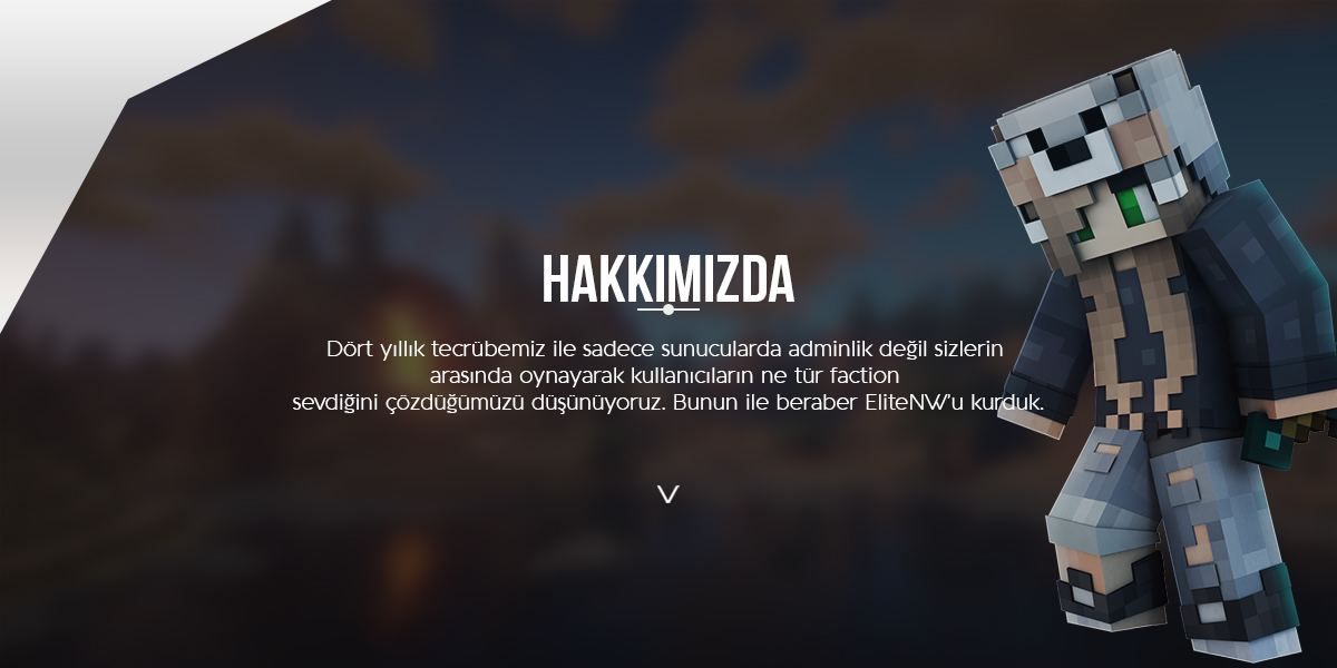 ElitNW Hakkımızda 2.jpg