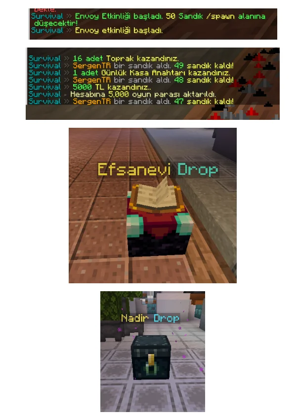 envoy1.png