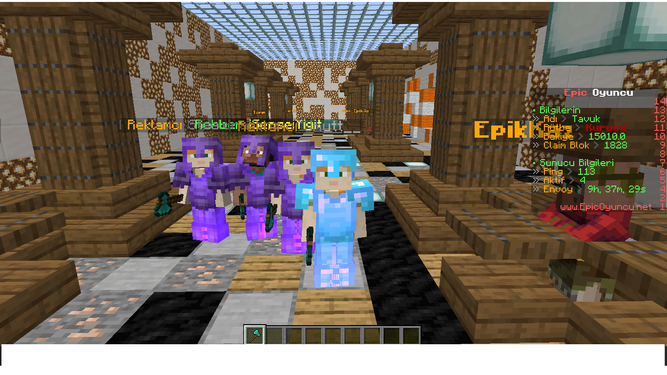 Epic6oyuncu.png
