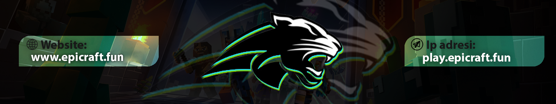 epicraftwebandip1.png