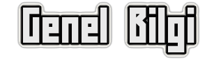 118333