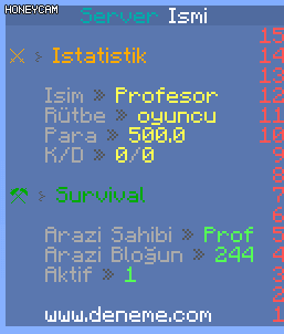 146339