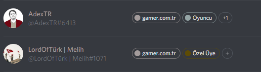 gamer.png