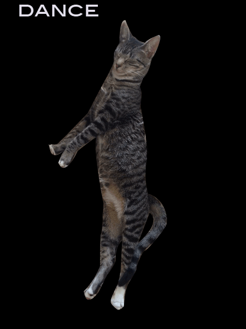 116162