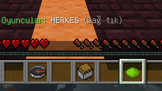 gizle göster.png