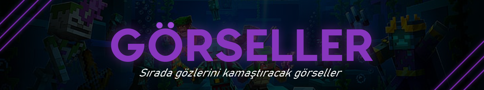 Görseller.png