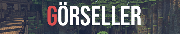 Görseller.png