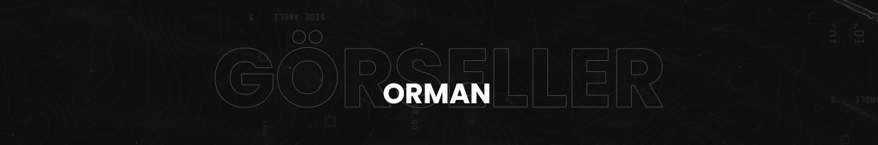 görsellerORMAN.png