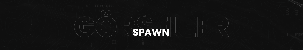 görsellerSPAWN.png