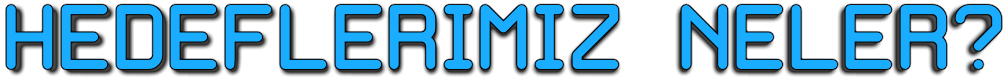 135325