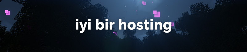 hosting.jpg