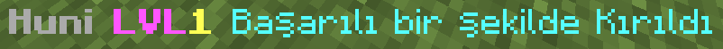 hunig7.png