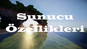 indir.png