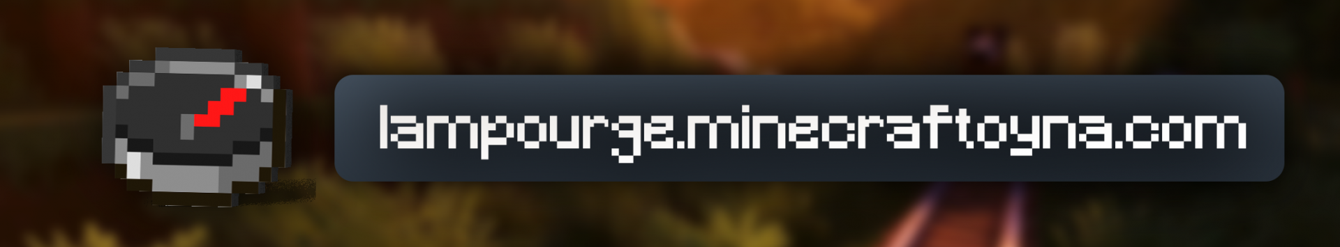 ip.png