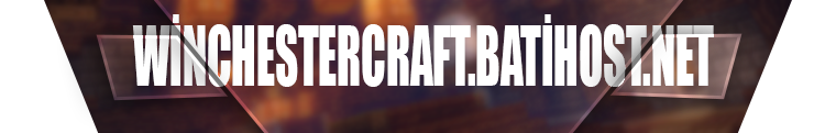 ip.png