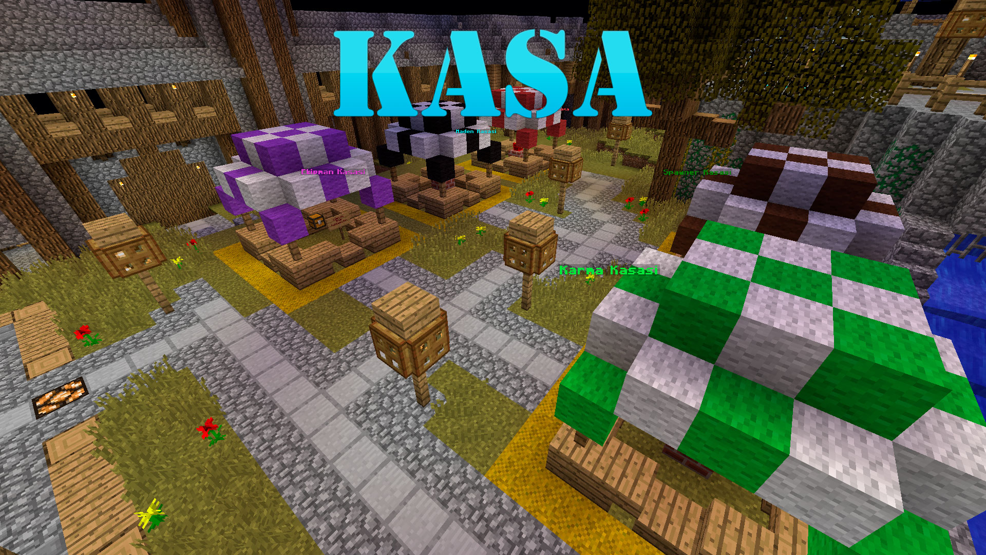 kasa.jpg