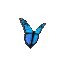 kelebek-.gif