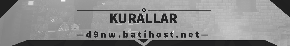 kurallar.png