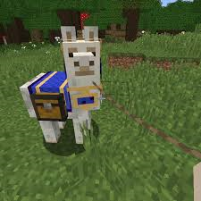 lama.png