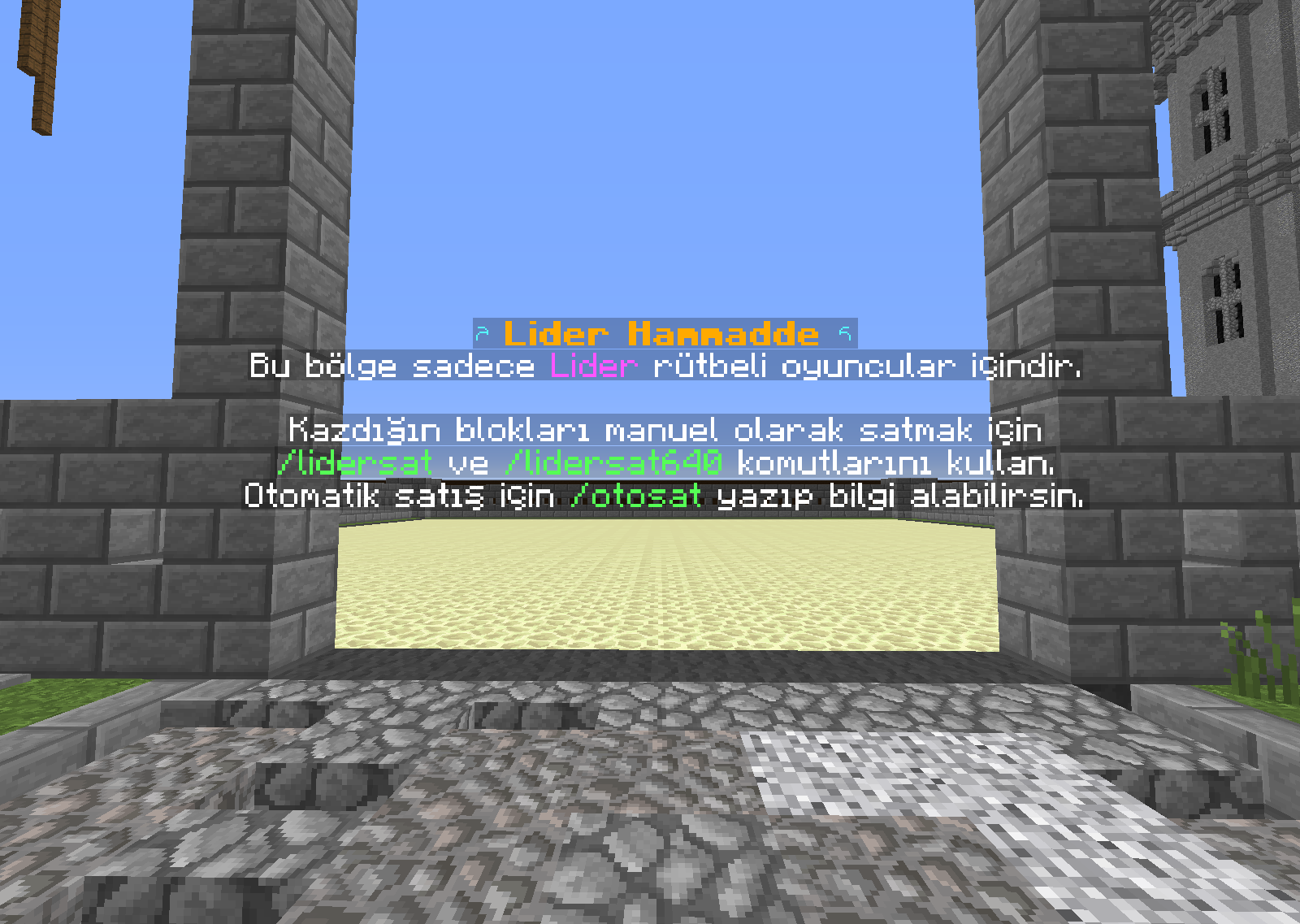 Lider.png
