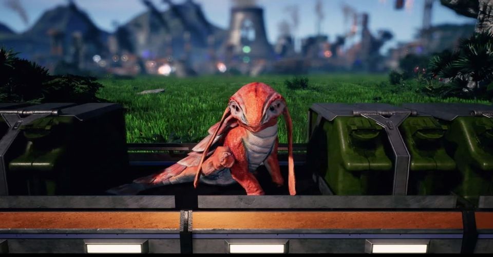 lizard.jpg