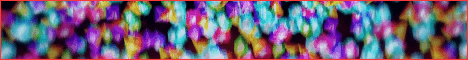lobi banner.gif
