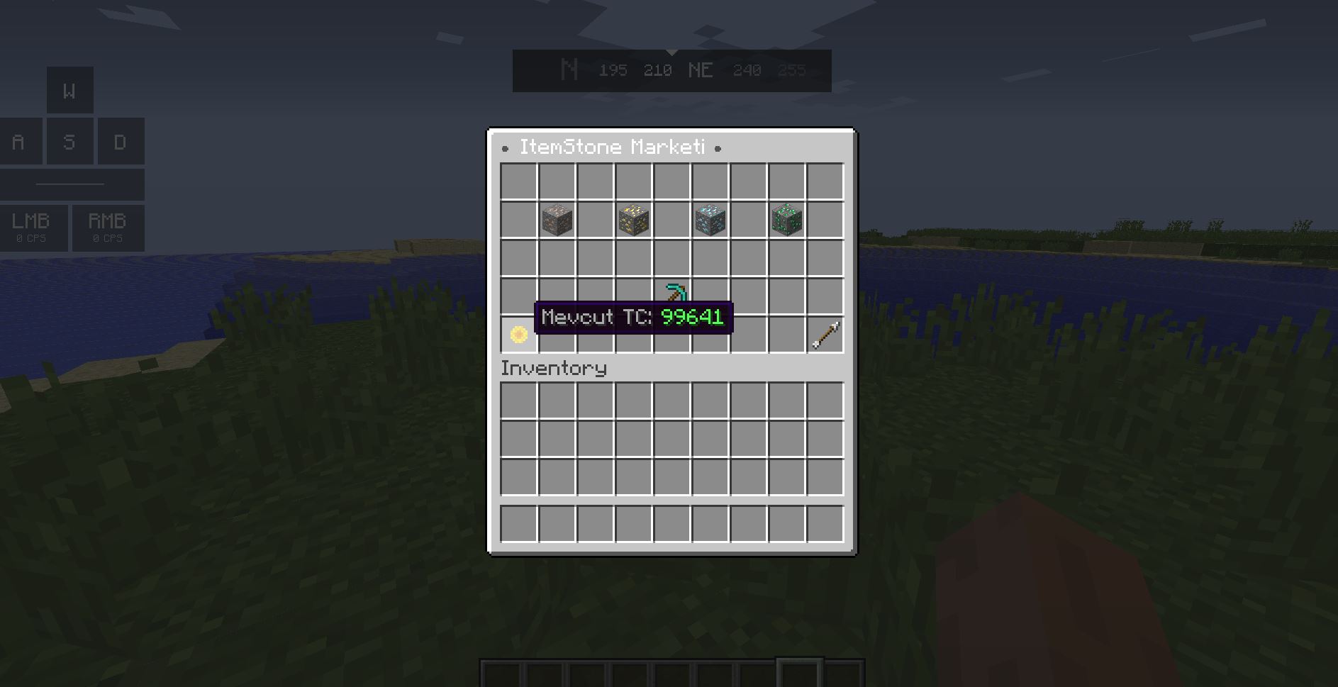 market tc.JPG
