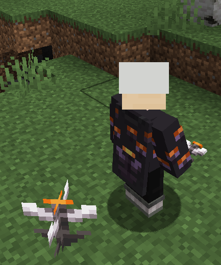 mc-pelerin.png