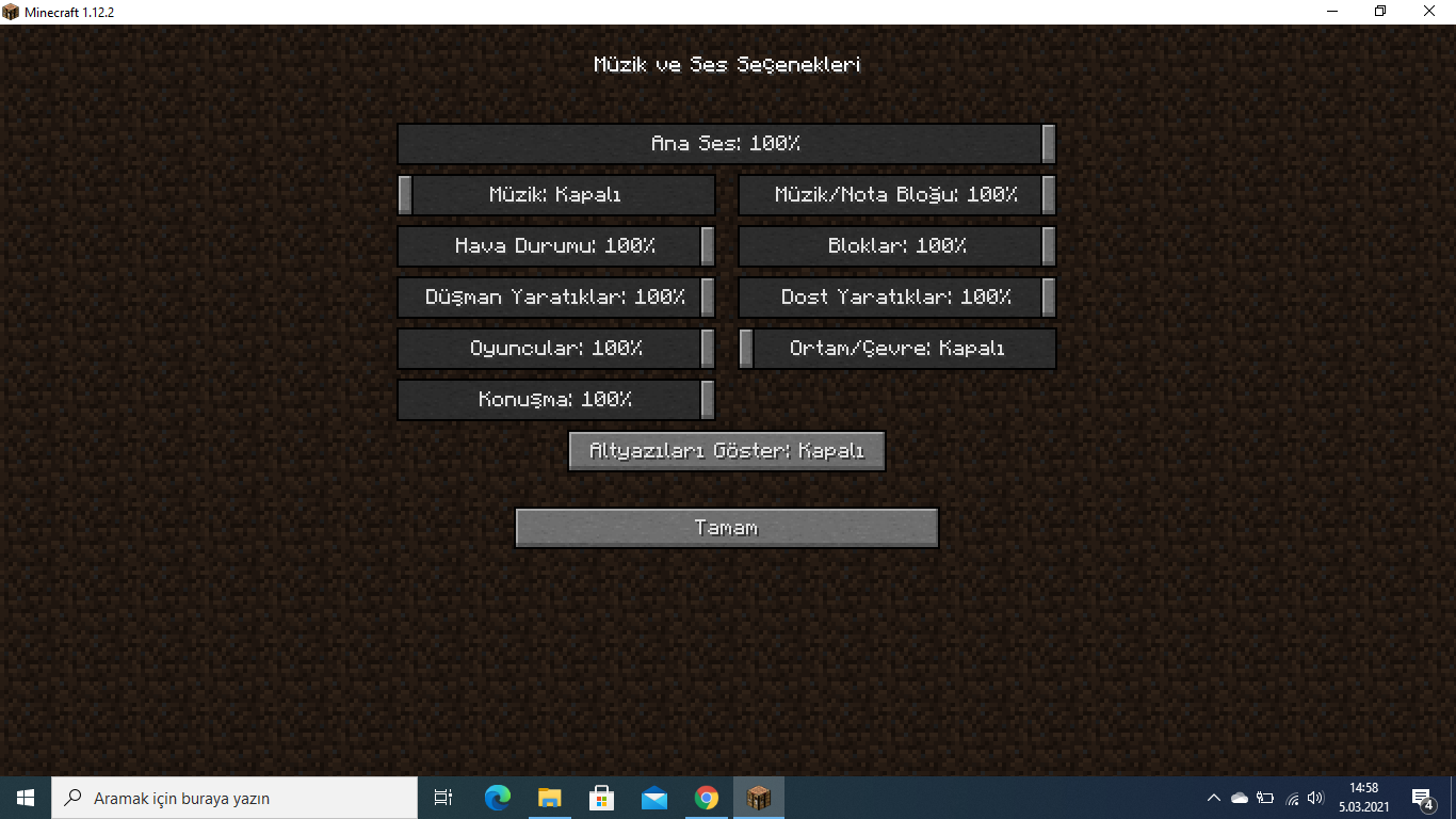 mc ses ayarları.png