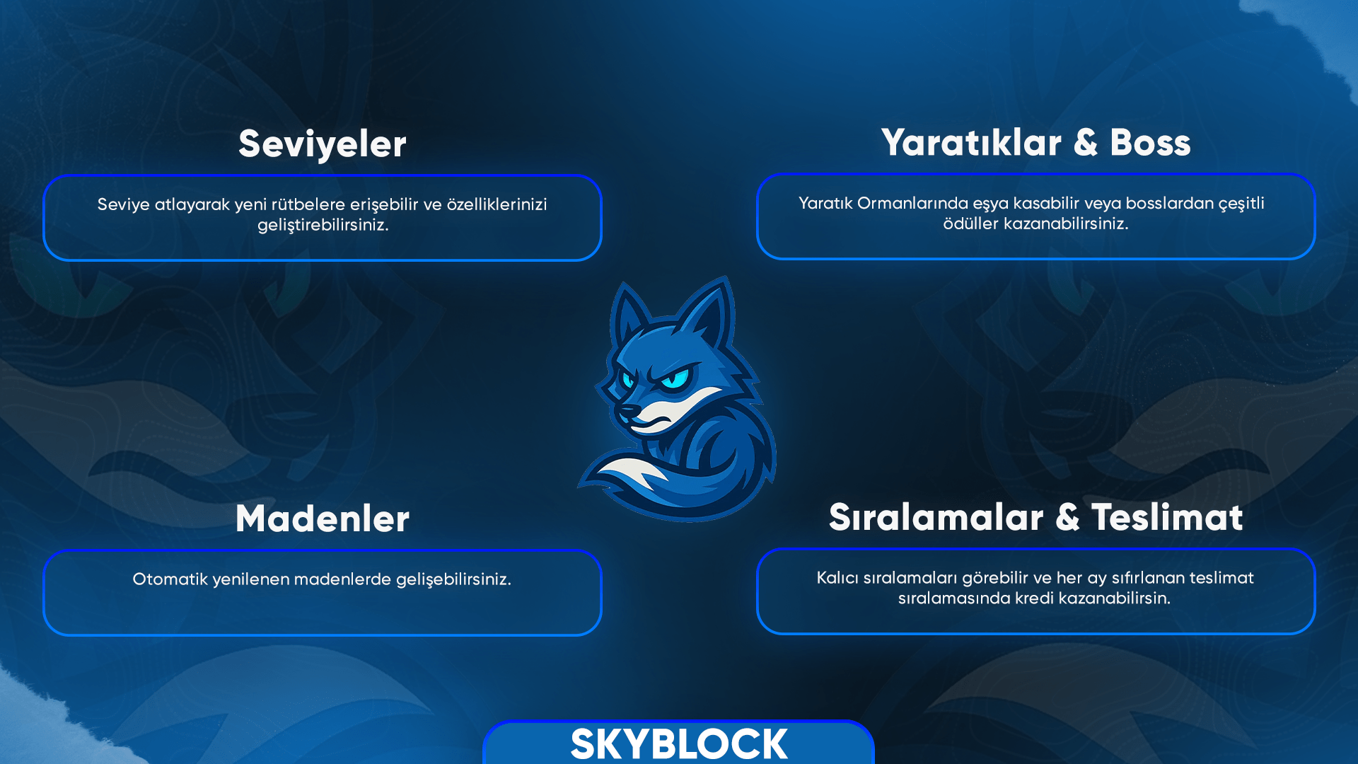 MelezNetworkKonuTasarm2 (1).png