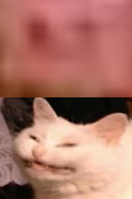 124542