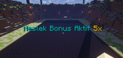 meslekbonus.png