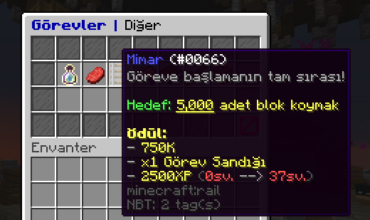 mimar görev.png