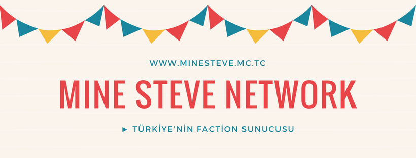 MINE STEVE NETWORK.png