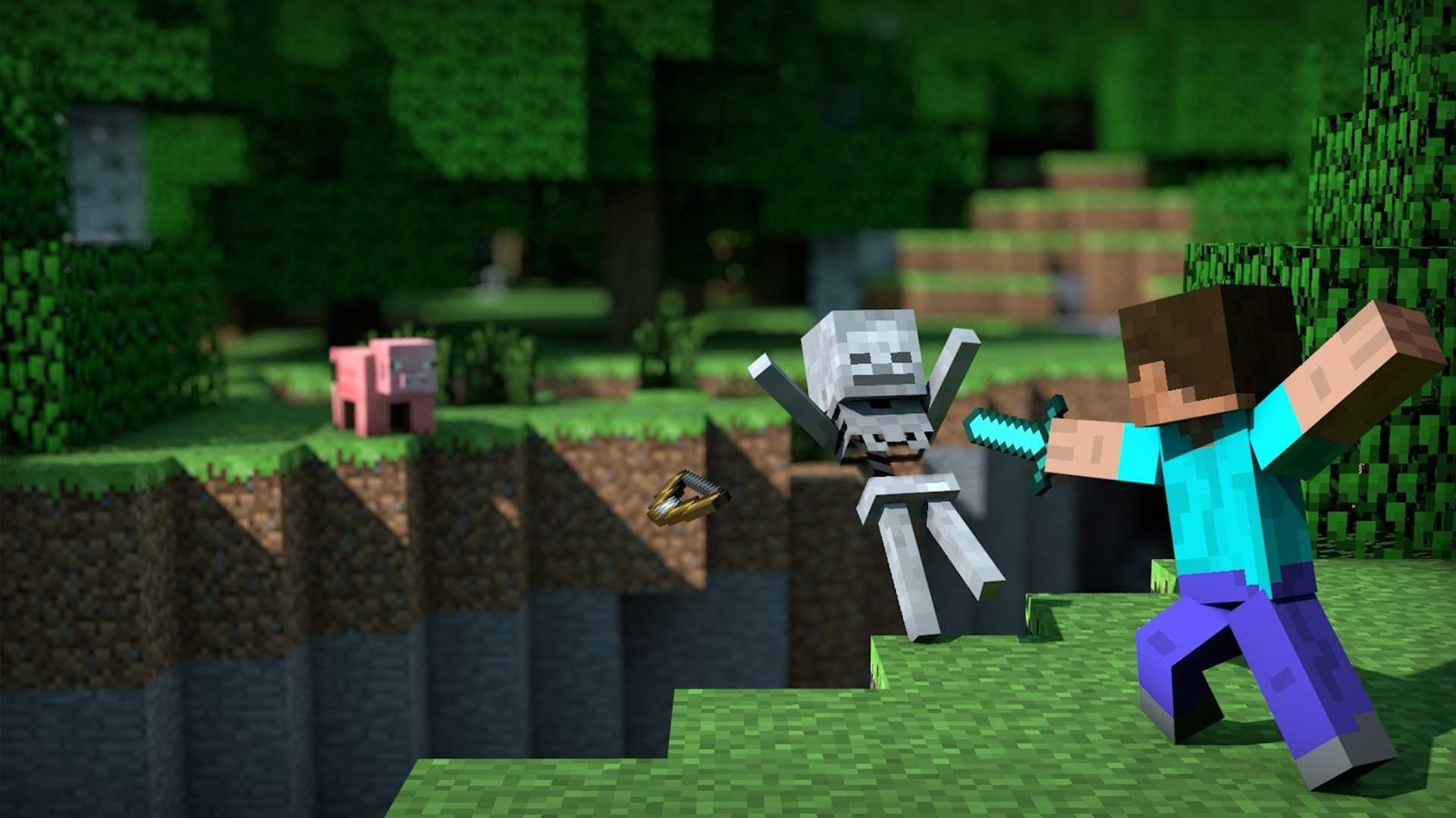 minecraft.jpg