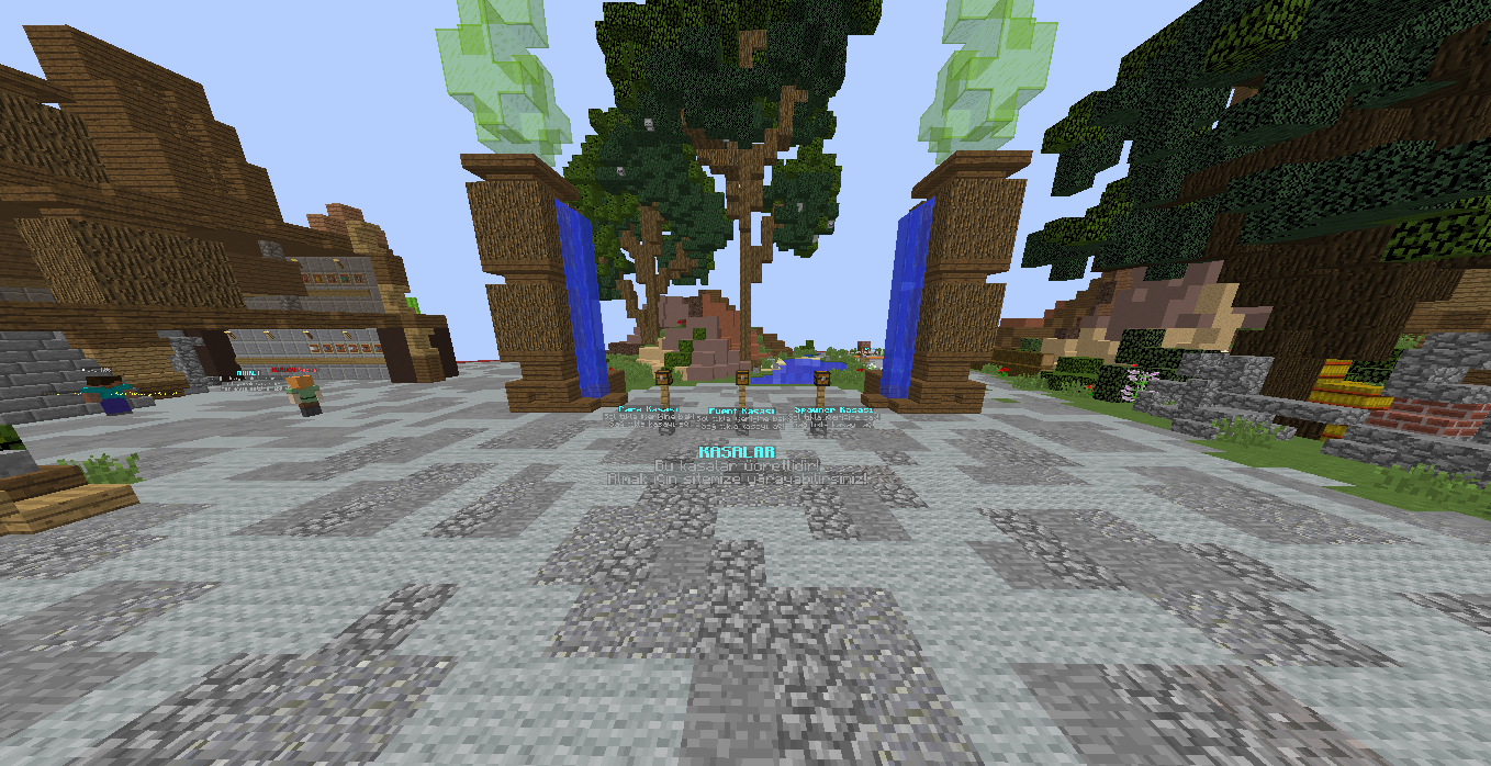 Minecraft kasalar.png