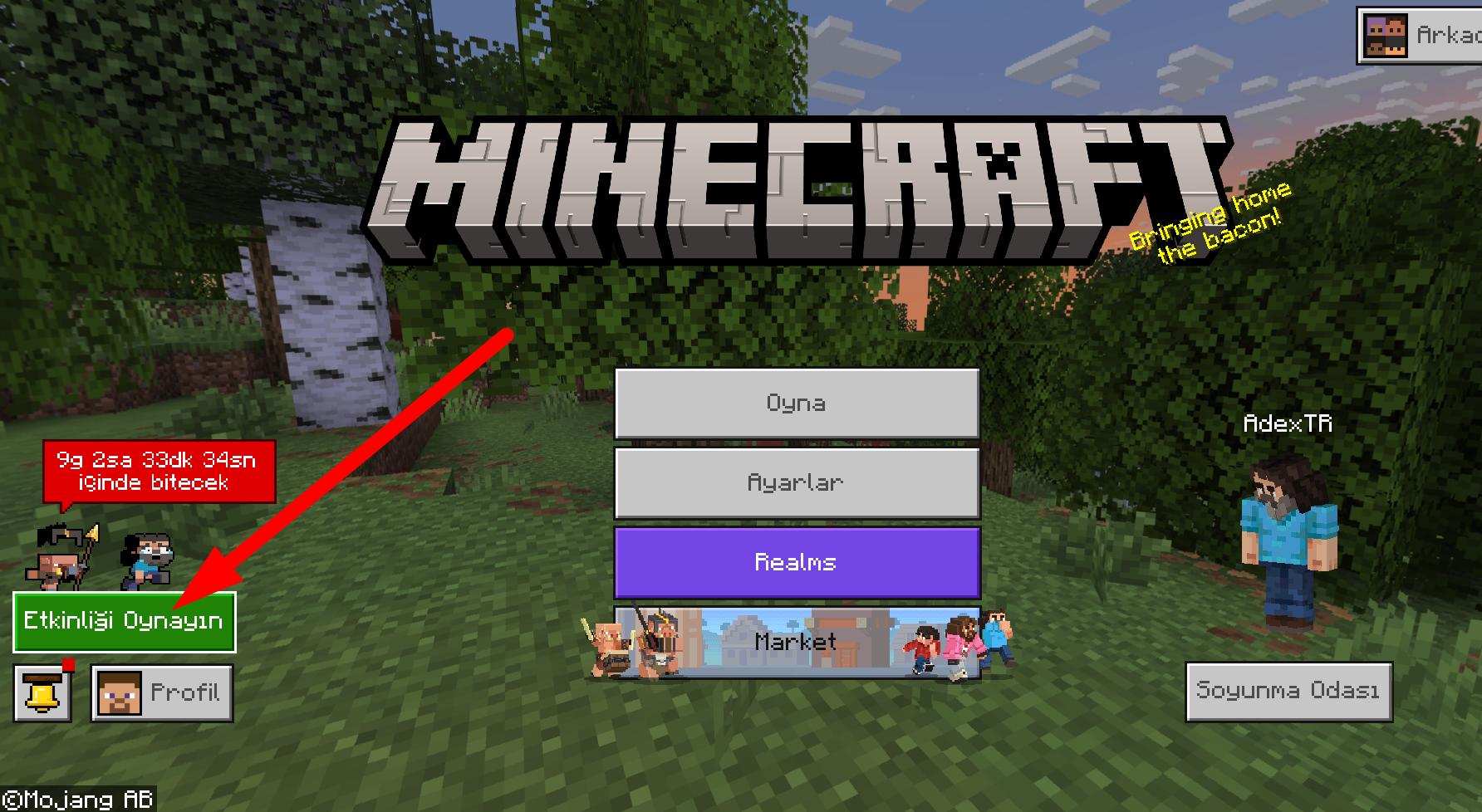 minecraft-pelerin-alma-gorevi-00.png