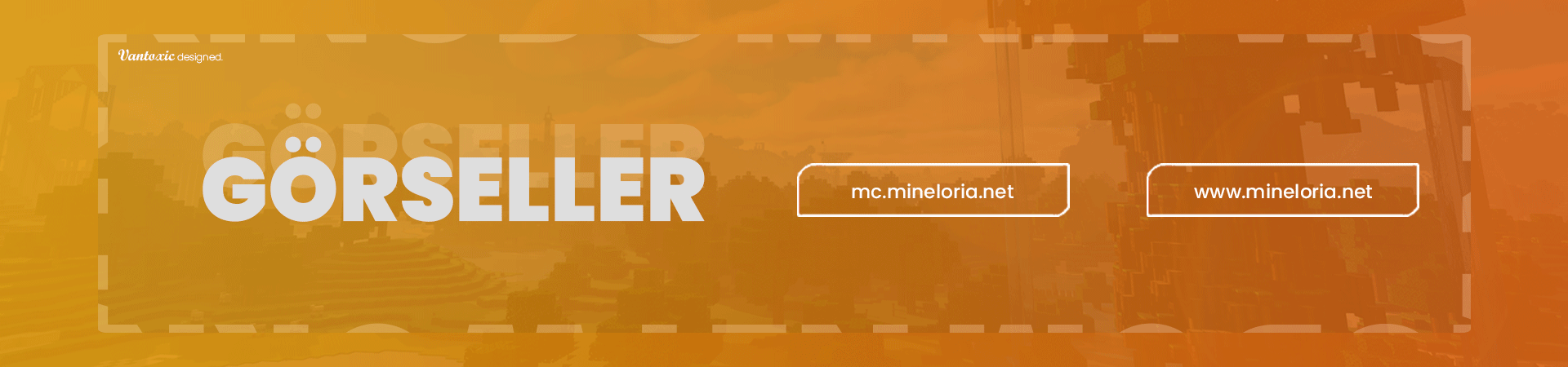 mineloriasar5.gif