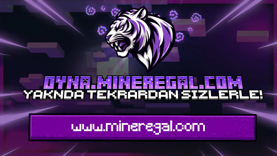 mineregal-bannerX.png