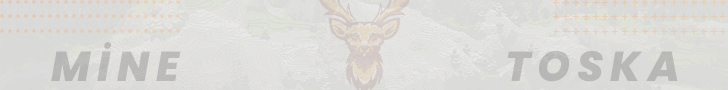 minetoska720x90.gif
